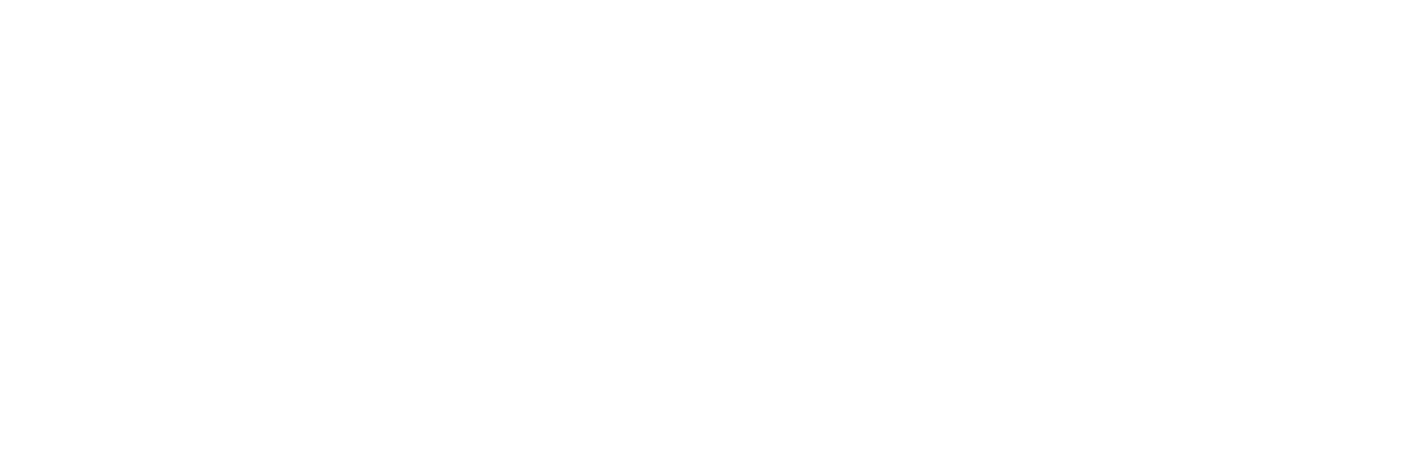Elevation-White-Logo-Wordmark