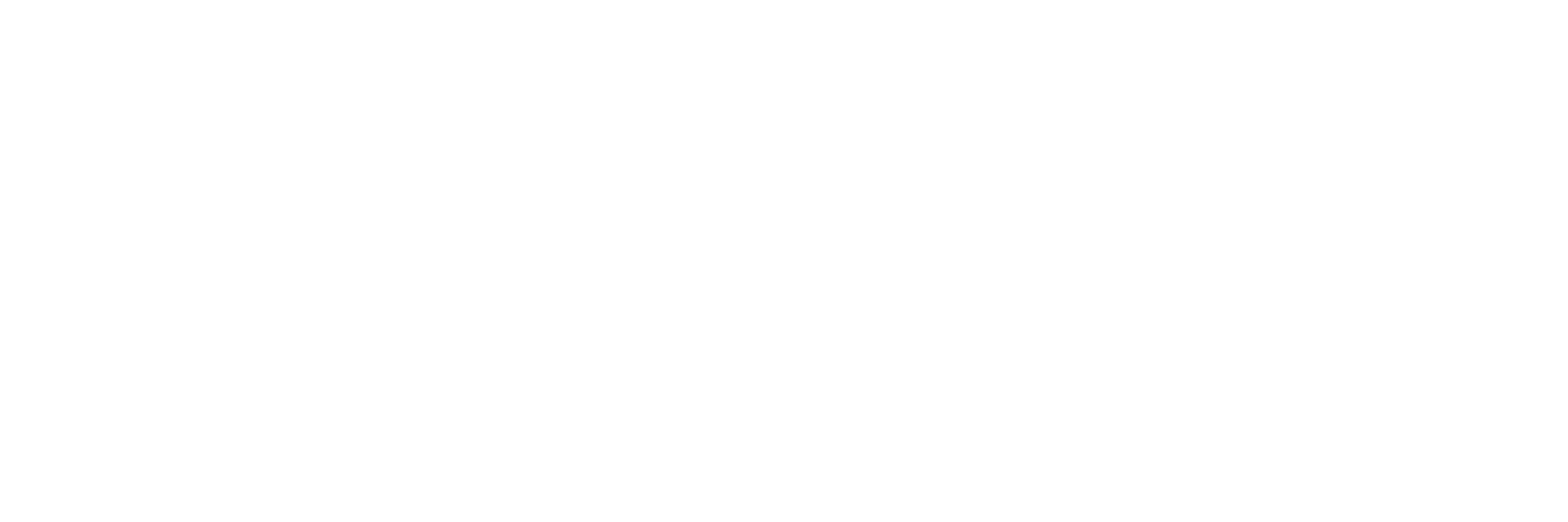Elevation-White-Logo-Wordmark
